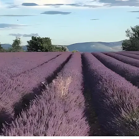 Bastide La Fondue - Durance Apartament *